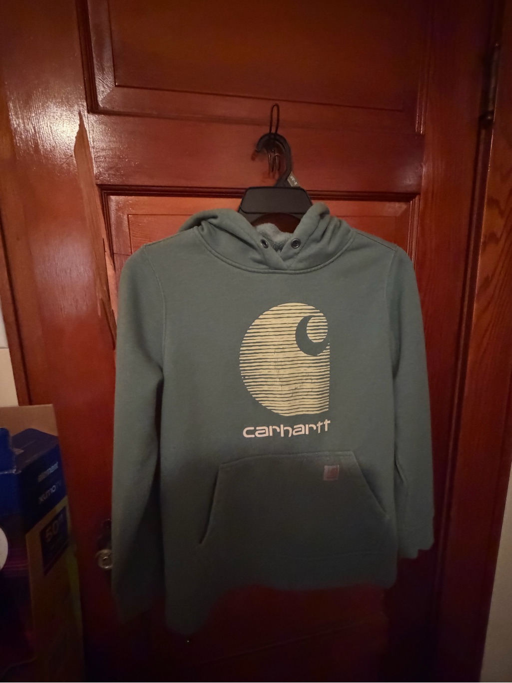 Carhartt Men's Teal Pullover Hoodie With Logo